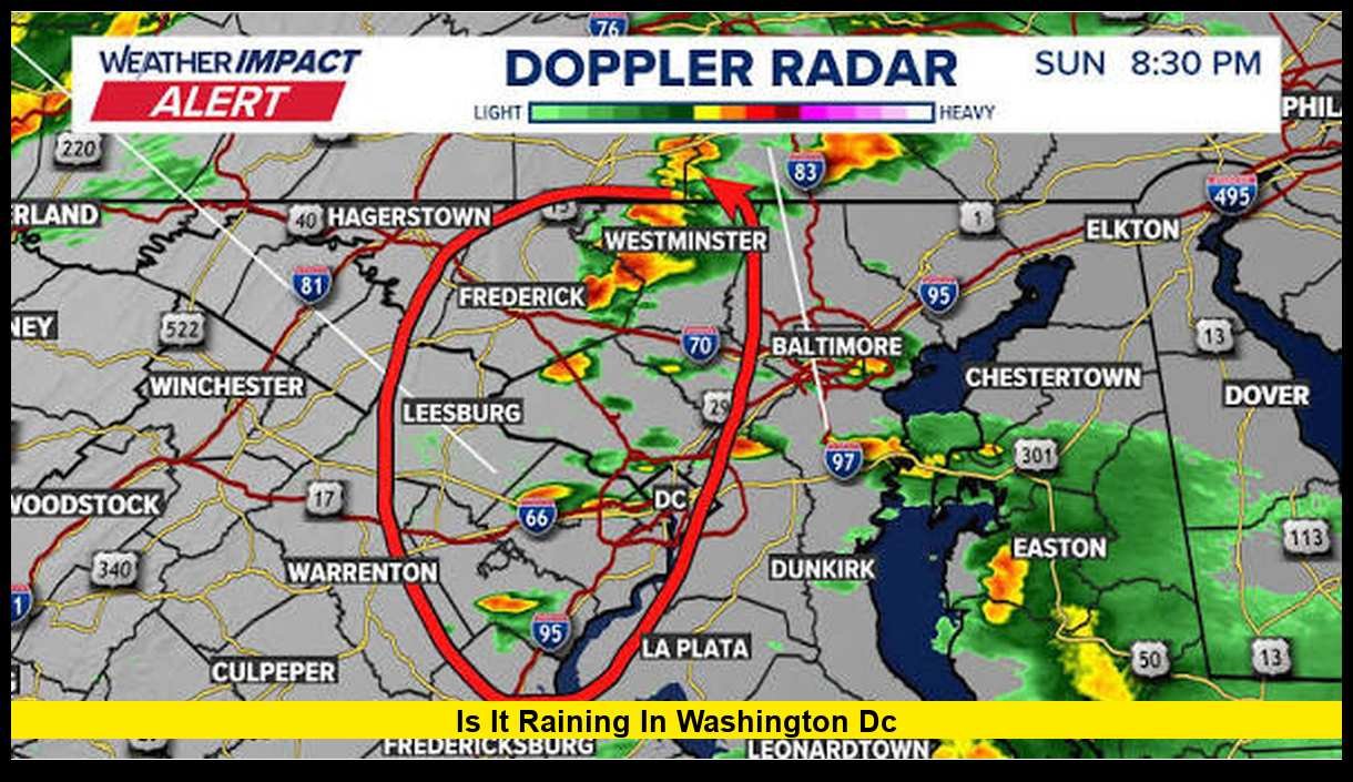 Is It Raining in Washington DC? Latest Weather Conditions, Rain Chances ...