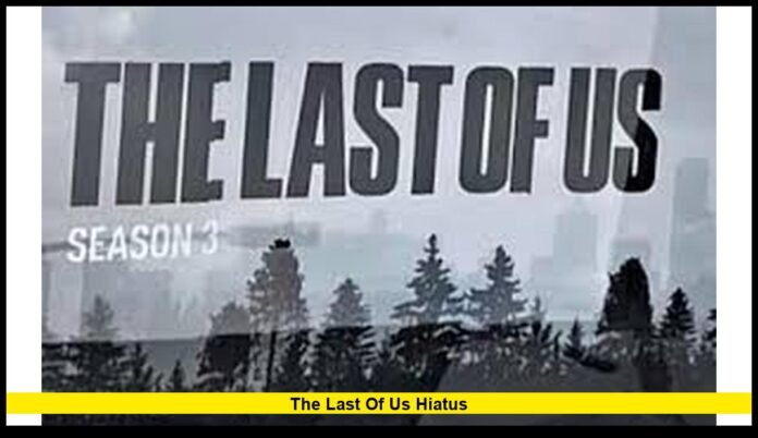 The Last of Us hiatus