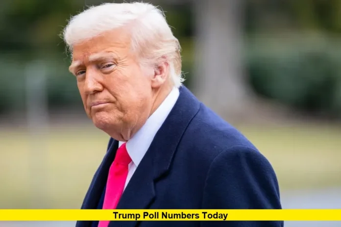 Trump Poll Numbers Today