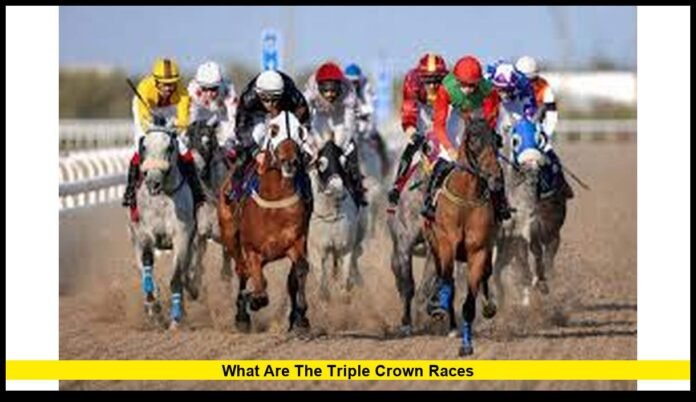 What are the triple crown races