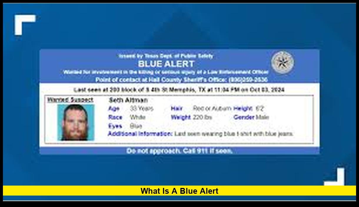 Alert Program Look Tools What Is a Blue Alert? A Complete Look at the Emergency Warning System ...