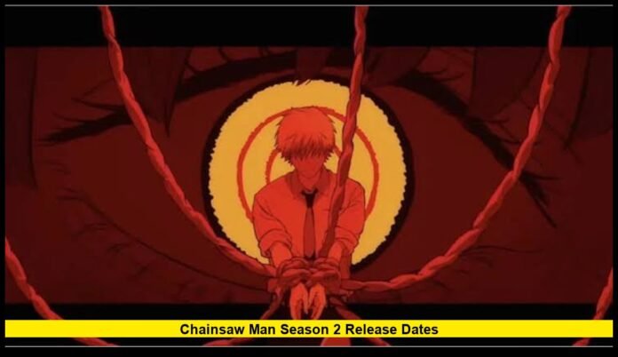 Everything Known About the Assassins Arc and the Future of the Anime