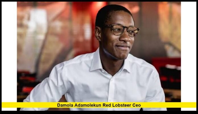 damola adamolekun red lobsteer ceo Drives New Era as Iconic Seafood Chain Focuses on Growth and Recovery