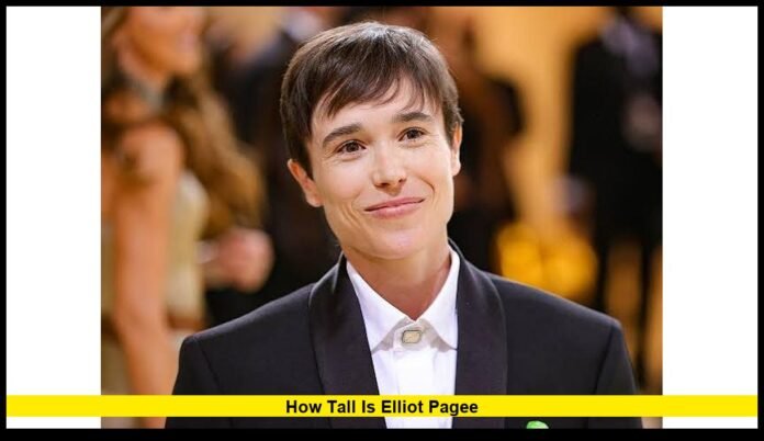 Height, Career, Biography, and Latest Facts (2026)