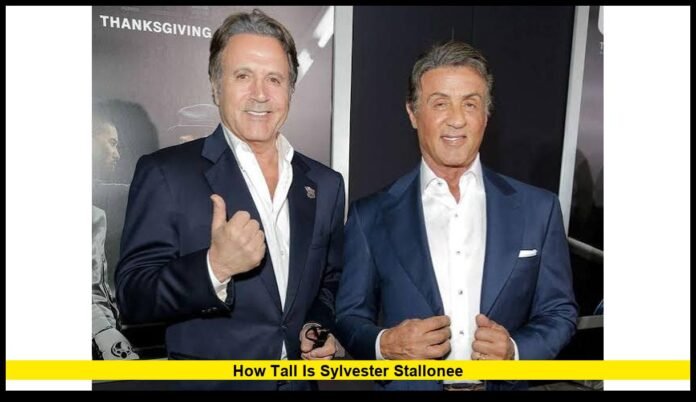 how tall is sylvester stallonee The Truth Behind the Hollywood Icon’s Height and Lasting Stardom