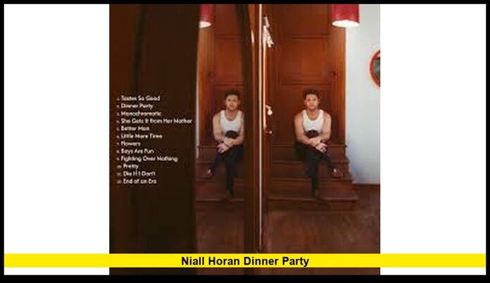 niall horan dinner party