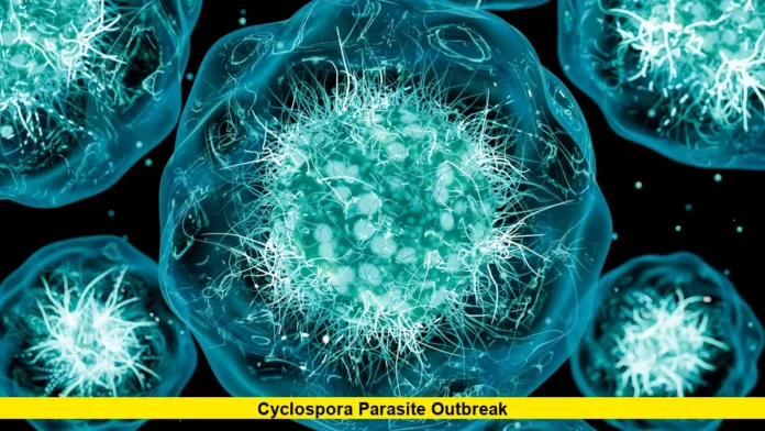 Cyclospora Parasite Outbreak Cyclospora Parasite Outbreak