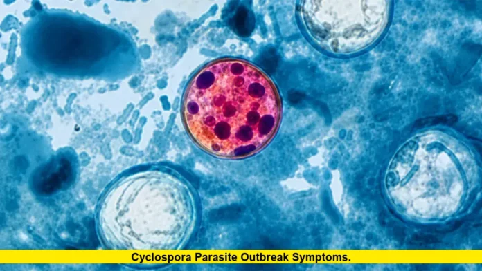 Cyclospora Parasite Outbreak Symptoms. Cyclospora Parasite Outbreak Symptoms