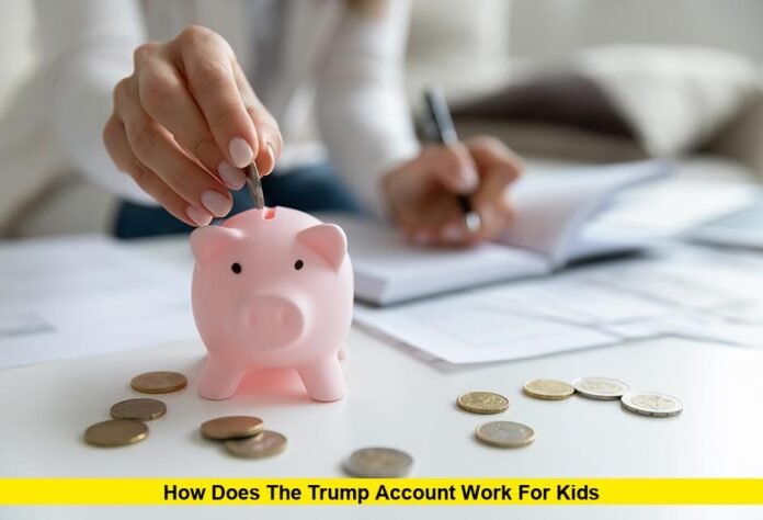 How Does the Trump Account Work for Kids How Does the Trump Account Work for Kids