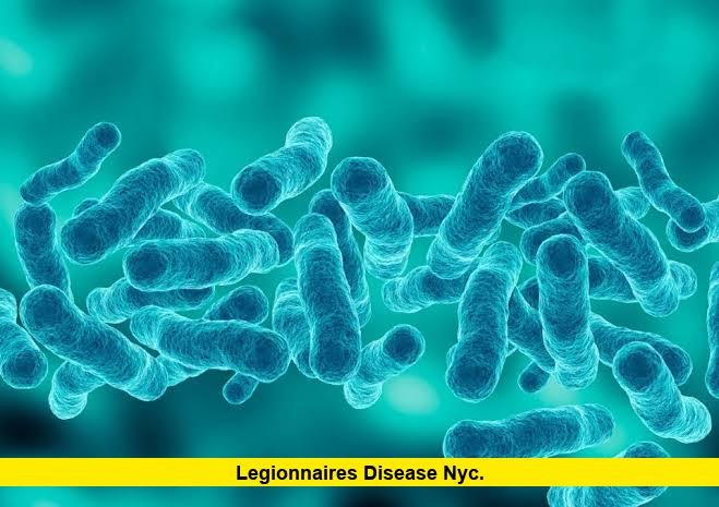 Legionnaires Disease NYC. Legionnaires Disease NYC