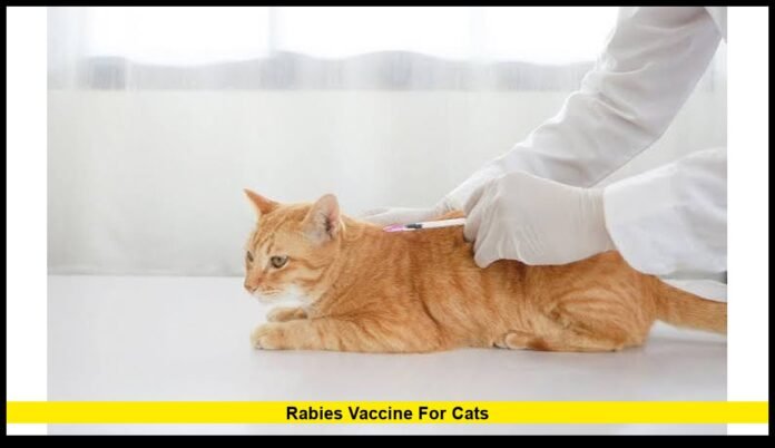 Rabies vaccine for cats Rabies vaccine for cats