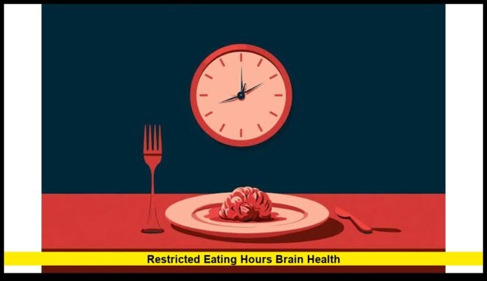 Restricted eating hours brain health Restricted eating hours brain health