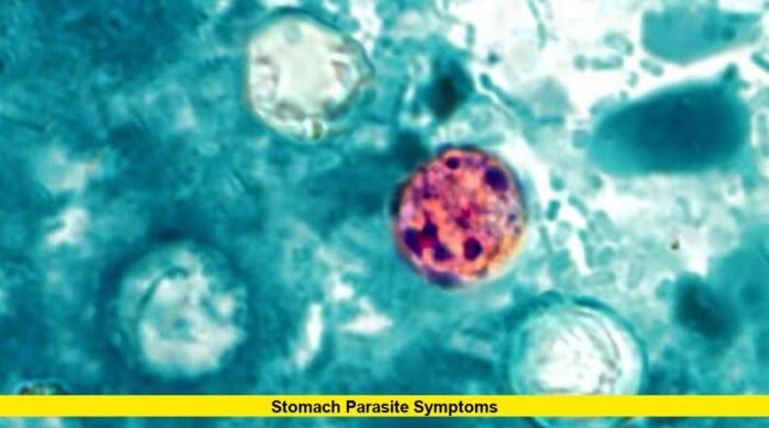 Stomach Parasite Symptoms Stomach Parasite Symptoms