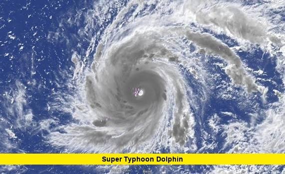 Super Typhoon Dolphin