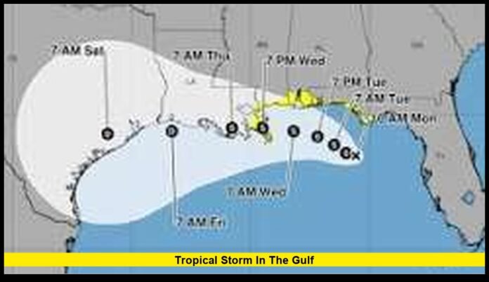 tropical storm in the gulf