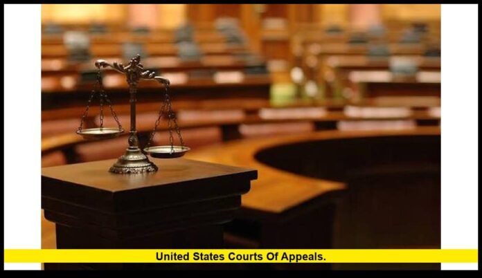 United States Courts of Appeals. United States Courts of Appeals.