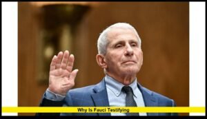 Who Released Fauci's Diary