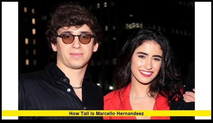 how tall is marcello hernandeez A Closer Look at the Rising Comedy Star