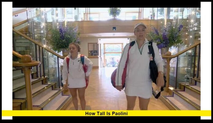 how tall is paolini