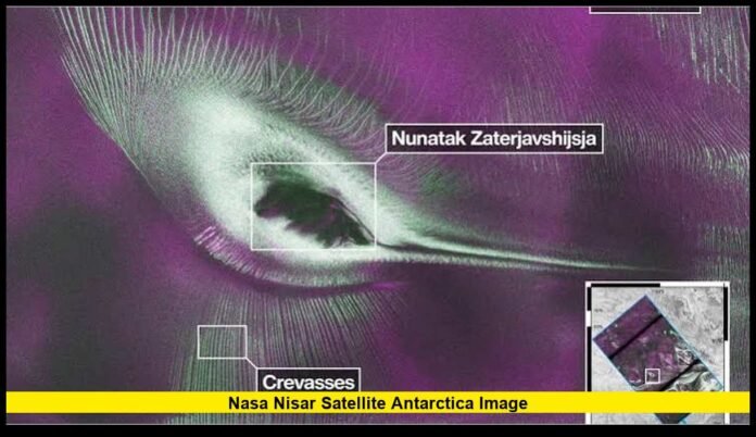 nasa nisar satellite antarctica image Showcase Remarkable Radar View of Earth's Frozen Landscape