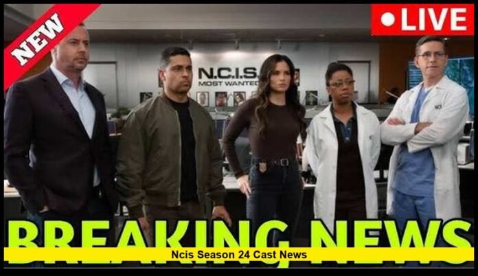 ncis season 24 cast news