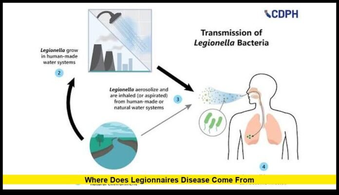 where does legionnaires disease come from