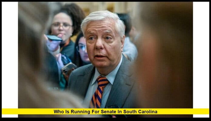 who is running for senate in south carolina