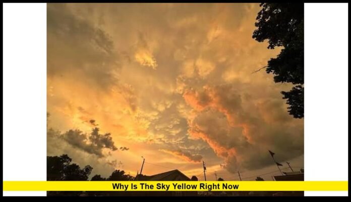 why is the sky yellow right now