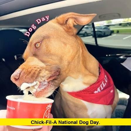Chick-fil-A National Dog Day