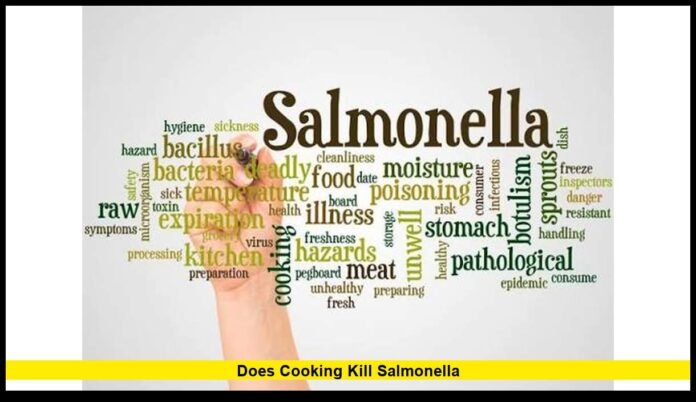 Does cooking kill salmonella