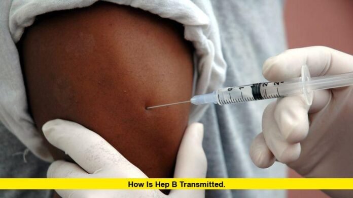 How Is Hep B Transmitted