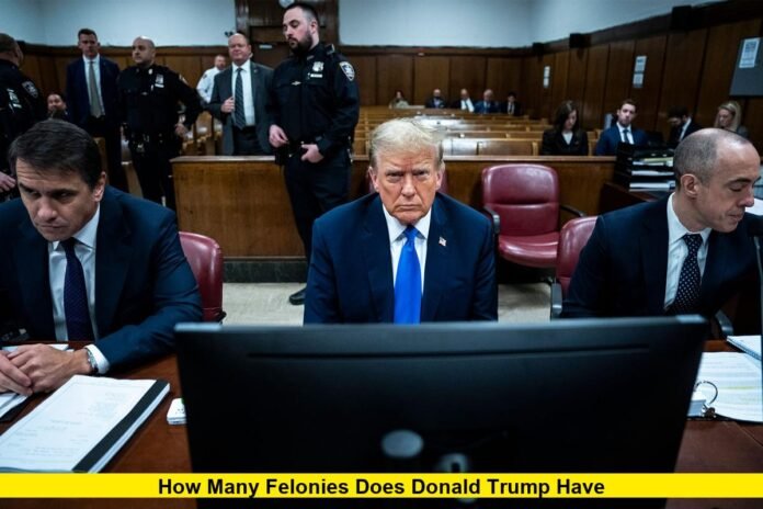 How Many Felonies Does Donald Trump Have How Many Felonies Does Donald Trump Have