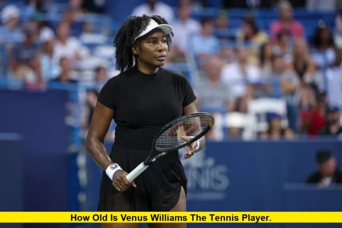 How Old Is Venus Williams the Tennis Player. How Old Is Venus Williams the Tennis Player