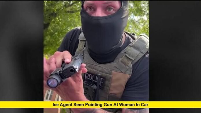 ICE Agent Seen Pointing Gun at Woman in Car