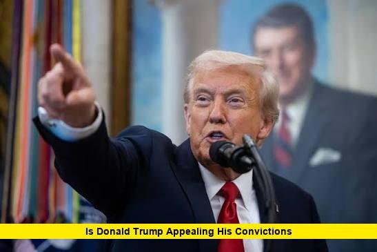 Is Donald Trump Appealing His Convictions Is Donald Trump Appealing His Convictions