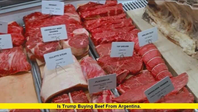 Is Trump Buying Beef From Argentina. Is Trump Buying Beef From Argentina