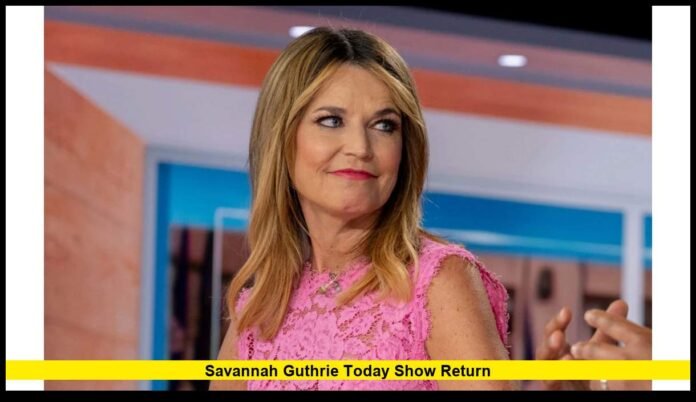 Savannah Guthrie Today Show return