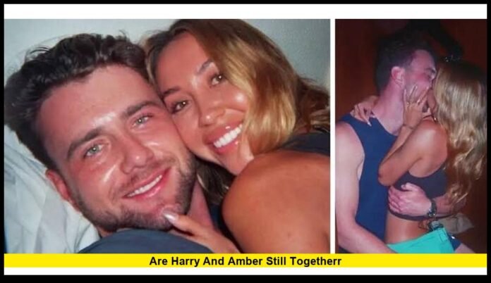 Latest Update After the Let's Marry Harry Finale