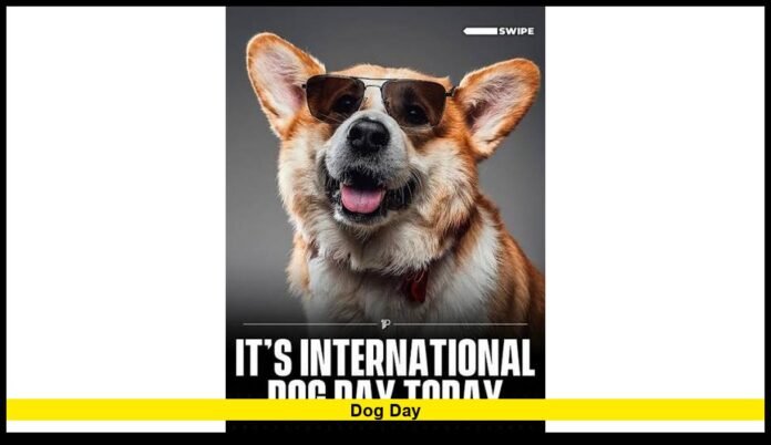 dog day