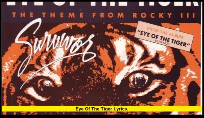 eye of the tiger lyrics. eye of the tiger lyrics.
