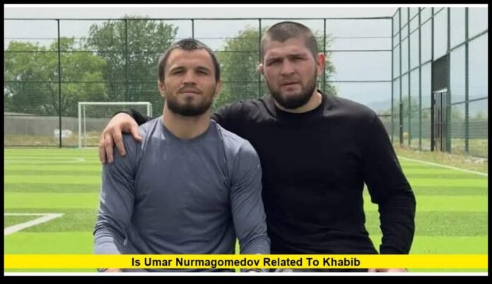 is umar nurmagomedov related to khabib Family Connection, MMA Legacy and Latest UFC Update