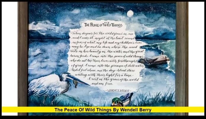 Meaning, Legacy and Why the Poem Still Matters