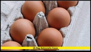 207 Infections, One Death and Imported Eggs Under Investigation