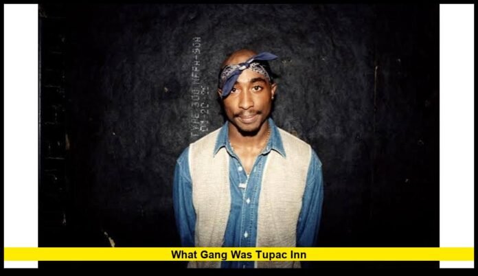 what gang was tupac inn Tupac Shakur’s Gang Connections, Death Row and the 1996 Feud