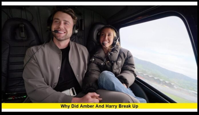 why did amber and harry break up