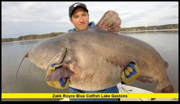 zakk royce blue catfish lake gastonS 108-Pound Giant Highlights a Remarkable 2026 Season