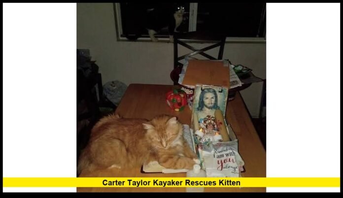 Carter Taylor kayaker rescues kitten Carter Taylor kayaker rescues kitten