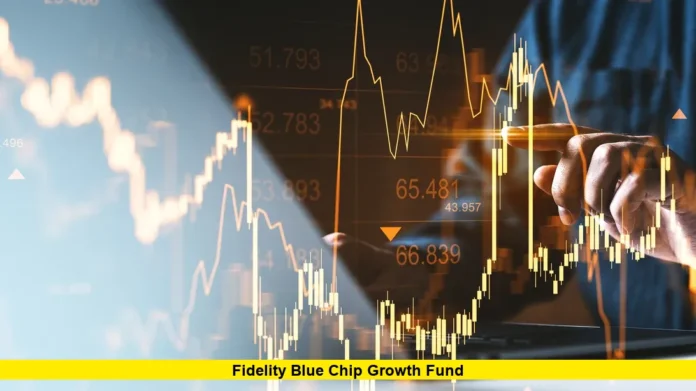 Fidelity Blue Chip Growth Fund Fidelity Blue Chip Growth Fund