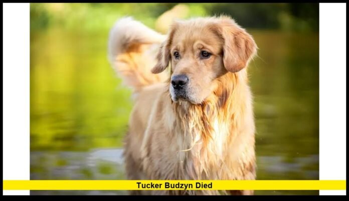 Tucker Budzyn died
