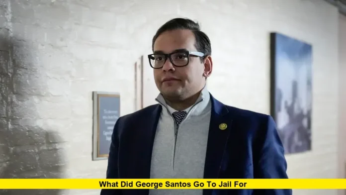 What Did George Santos Go To Jail For What Did George Santos Go to Jail For